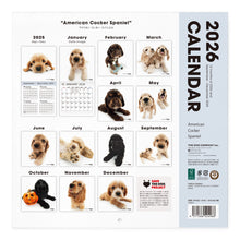 画像をギャラリービューアに読み込む, THE DOG 2026年カレンダー 大判サイズ(アメリカン・コッカー・スパニエル)
