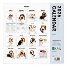 画像をギャラリービューアに読み込む, THE DOG 2026年カレンダー 大判サイズ(ビーグル)