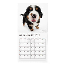 画像をギャラリービューアに読み込む, THE DOG 2026年カレンダー 大判サイズ(バーニーズ・マウンテン・ドッグ)