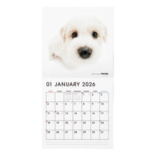 画像をギャラリービューアに読み込む, THE DOG 2026年カレンダー 大判サイズ(ビション・フリーゼ)