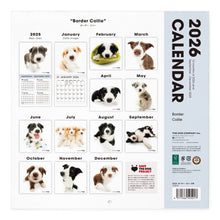 画像をギャラリービューアに読み込む, THE DOG 2026年カレンダー 大判サイズ(ボーダー・コリー)
