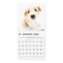 画像をギャラリービューアに読み込む, THE DOG 2026年カレンダー 大判サイズ(ボーダー・コリー)