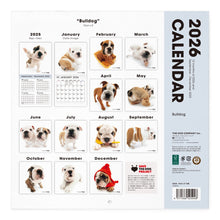 将图像阅读到画廊视图中, THE DOG 2026年カレンダー 大判サイズ(ブルドッグ)