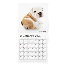 将图像阅读到画廊视图中, THE DOG 2026年カレンダー 大判サイズ(ブルドッグ)