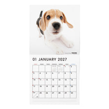 갤러리보기에 이미지를 읽고 THE DOG 2027年カレンダー 大判サイズ(ビーグル)の1月