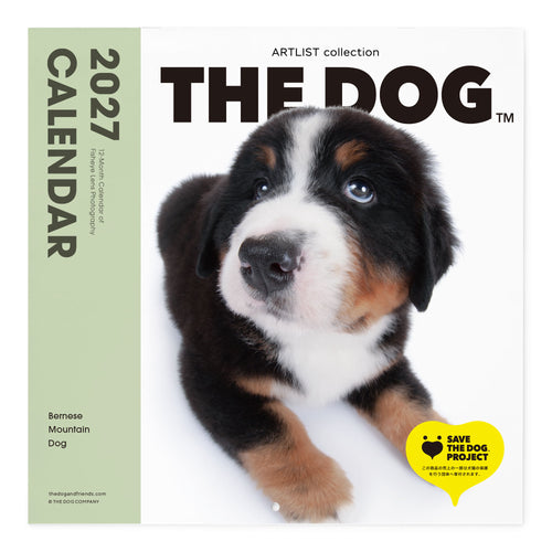 THE DOG 2027年カレンダー 大判サイズ(バーニーズ・マウンテン・ドッグ)の表紙