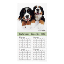 Read the image into the gallery view, THE DOG 2027年カレンダー 大判サイズ(バーニーズ・マウンテン・ドッグ)の2026年部分
