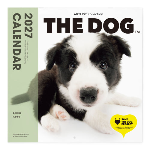 THE DOG 2027年カレンダー 大判サイズ(ボーダー・コリー)の表紙