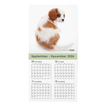 Read the image into the gallery view, THE DOG 2027年カレンダー 大判サイズ(キャバリア・キング・チャールズ・スパニエル)の2026年部分