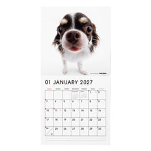 Read the image into the gallery view, THE DOG 2027年カレンダー 大判サイズ(チワワ)の1月