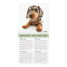 Read the image into the gallery view, THE DOG 2027年カレンダー 大判サイズ(ダックスフンド)の2026年部分