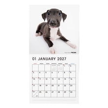 Read the image into the gallery view, THE DOG 2027年カレンダー 大判サイズ(イタリアン・グレイハウンド)の1月