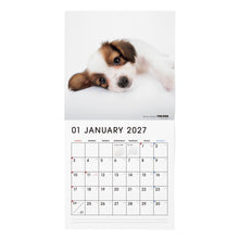 갤러리보기에 이미지를 읽고 THE DOG 2027年カレンダー 大判サイズ(パピヨン)の1月