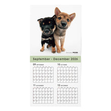 Read the image into the gallery view, THE DOG 2027年カレンダー 大判サイズ(柴)の2026年部分