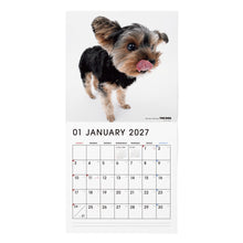 갤러리보기에 이미지를 읽고 THE DOG 2027年カレンダー 大判サイズ(ヨークシャー・テリア)の1月