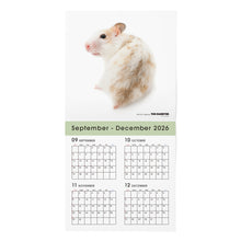 갤러리보기에 이미지를 읽고 THE HAMSTER 2027年カレンダー 大判サイズの2026年部分