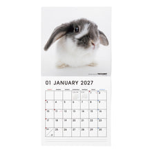 画像をギャラリービューアに読み込む, THE RABBIT 2027年カレンダー 大判サイズの1月