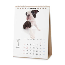 Read the image into the gallery view, THE DOG 2027年カレンダー 卓上サイズ(ボストン・テリア)の1月