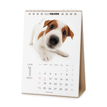 갤러리보기에 이미지를 읽고 THE DOG 2027年カレンダー 卓上サイズ(ジャック・ラッセル・テリア)の1月