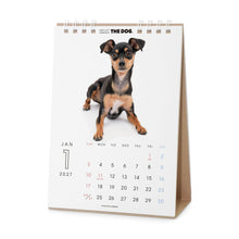 画像をギャラリービューアに読み込む, THE DOG 2027年カレンダー 卓上サイズ(ミニチュア・ピンシャー)の1月