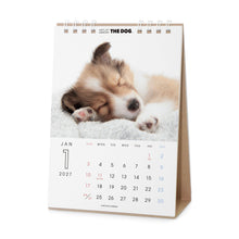 Read the image into the gallery view, THE DOG 2027年カレンダー 卓上サイズ(シェットランド・シープドッグ)の1月