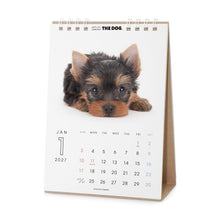 갤러리보기에 이미지를 읽고 THE DOG 2027年カレンダー 卓上サイズ(ヨークシャー・テリア)の1月