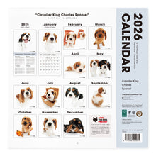 画像をギャラリービューアに読み込む, THE DOG 2026年カレンダー 大判サイズ(キャバリア・キング・チャールズ・スパニエル)