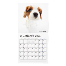 画像をギャラリービューアに読み込む, THE DOG 2026年カレンダー 大判サイズ(キャバリア・キング・チャールズ・スパニエル)