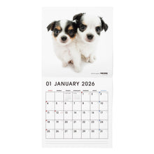 画像をギャラリービューアに読み込む, THE DOG 2026年カレンダー 大判サイズ(チワワ)