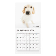 画像をギャラリービューアに読み込む, THE DOG 2026年カレンダー 大判サイズ(ゴールデン・レトリーバー)
