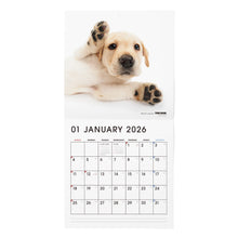 画像をギャラリービューアに読み込む, THE DOG 2026年カレンダー 大判サイズ(ラブラドール・レトリーバー)