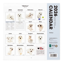 画像をギャラリービューアに読み込む, THE DOG 2026年カレンダー 大判サイズ(マルチーズ)