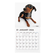 画像をギャラリービューアに読み込む, THE DOG 2026年カレンダー 大判サイズ(ミニチュア・ピンシャー)