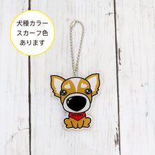 画像をギャラリービューアに読み込む, THE DOG × ThreeB キーホルダー チワワ