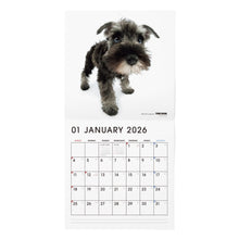 画像をギャラリービューアに読み込む, THE DOG 2026年カレンダー 大判サイズ(ミニチュア・シュナウザー)