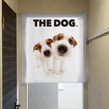 将图像阅读到画廊视图中, Noren 狗 Jack Russell Terrier(长度90厘米)
