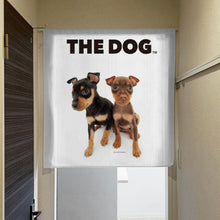 将图像阅读到画廊视图中, Noren THE DOG 迷你杜宾犬(长 90 厘米)