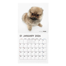 画像をギャラリービューアに読み込む, THE DOG 2026年カレンダー 大判サイズ(ポメラニアン)