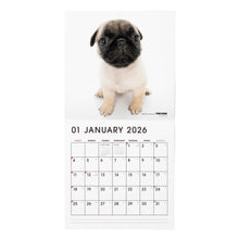 画像をギャラリービューアに読み込む, THE DOG 2026年カレンダー 大判サイズ(パグ)