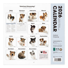 画像をギャラリービューアに読み込む, THE DOG 2026年カレンダー 大判サイズ(シェットランド・シープドッグ)
