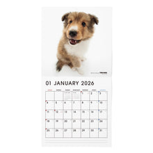 画像をギャラリービューアに読み込む, THE DOG 2026年カレンダー 大判サイズ(シェットランド・シープドッグ)