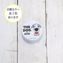 将图像阅读到画廊视图中, 狗×三b零食意大利灰色猎犬