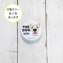 将图像阅读到画廊视图中, 狗×三个小吃威尔士corgi