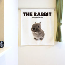 将图像阅读到画廊视图中, Noren THE RABBIT 兔子1号(长90cm)
