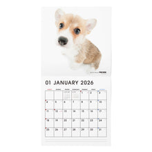 画像をギャラリービューアに読み込む, THE DOG 2026年カレンダー 大判サイズ(ウェルシュ・コーギー)