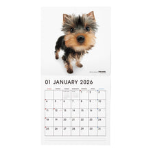 画像をギャラリービューアに読み込む, THE DOG 2026年カレンダー 大判サイズ(ヨークシャー・テリア)