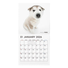 将图像阅读到画廊视图中, THE DOG 2026年カレンダー 大判サイズ トリオ(秋田/アラスカン・マラミュート/フラットコーテッド・レトリーバー)