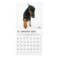 画像をギャラリービューアに読み込む, THE DOG 2026年カレンダー 大判サイズ トリオ(ダルメシアン/ドーベルマン/イングリッシュ・スプリンガー・スパニエル)