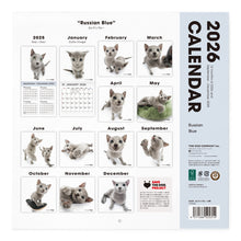 Read the image into the gallery view, THE CAT 2026年カレンダー 大判サイズ (ロシアンブルー)