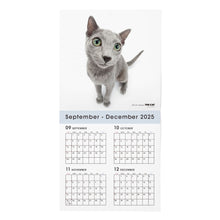 Read the image into the gallery view, THE CAT 2026年カレンダー 大判サイズ (ロシアンブルー)
